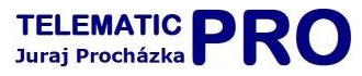 Telematic logo